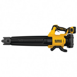 Повітродувка DeWALT DCMBL562P1